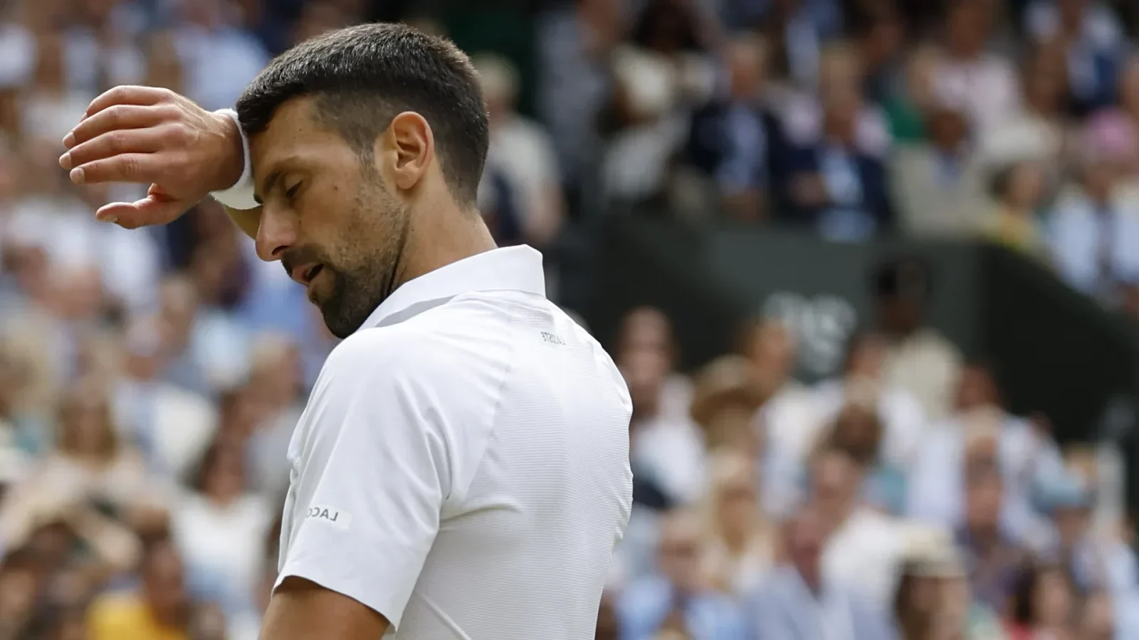 History ‘Fuels’ Novak Djokovic Wimbledon Title Bid Against Carlos Alcaraz